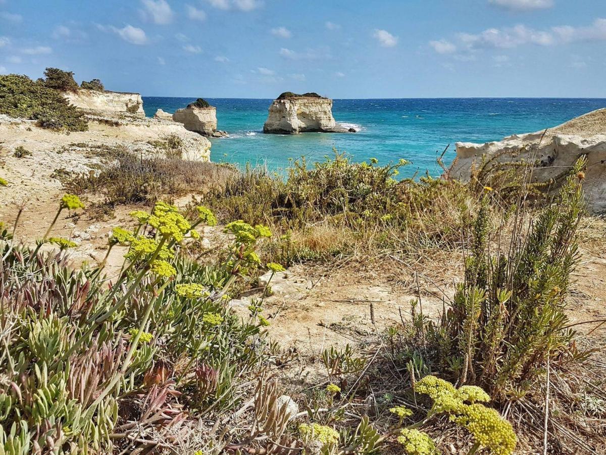 圣安德烈亚Casa Fronte Mare Torre Sant'Andrea公寓 外观 照片
